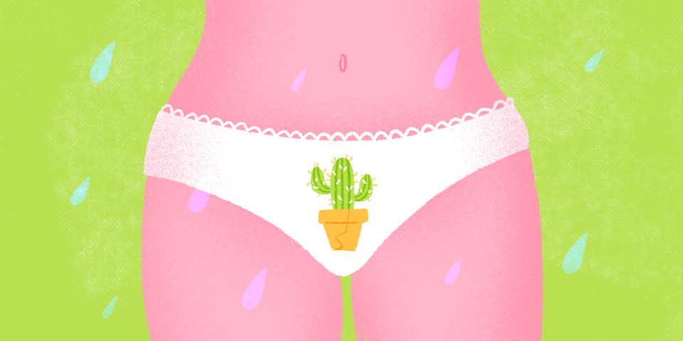 micosi vaginali immagine di copertina