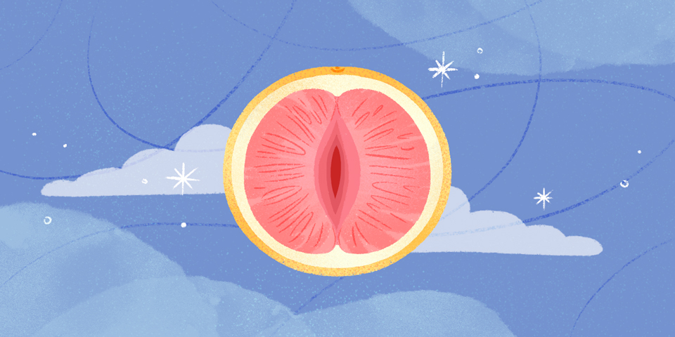 anatomia vulva articolo
